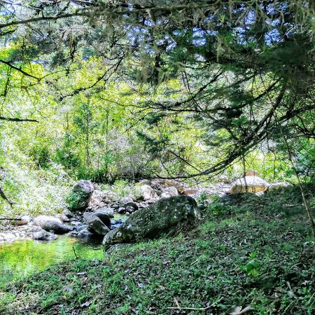 Cabana Mountain View Ередія Екстер'єр фото